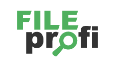 FileProfi - профессиональное восстановление данных во Владикавказе